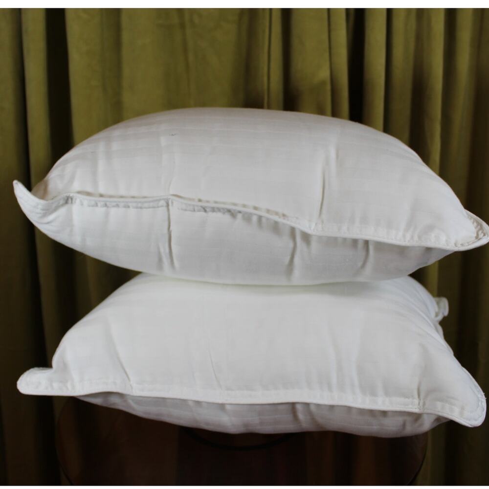 Two New Toddler Pillows 14x11